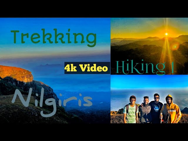 NILGIRI MOUNTAIN CLIMBERS | Hiking 1 | Exploring  Southern Western Ghats|Sun Rise Trekking 4k Video