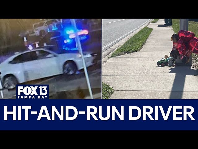 Elderly woman believed to be driver in deadly Florida hit-and-run