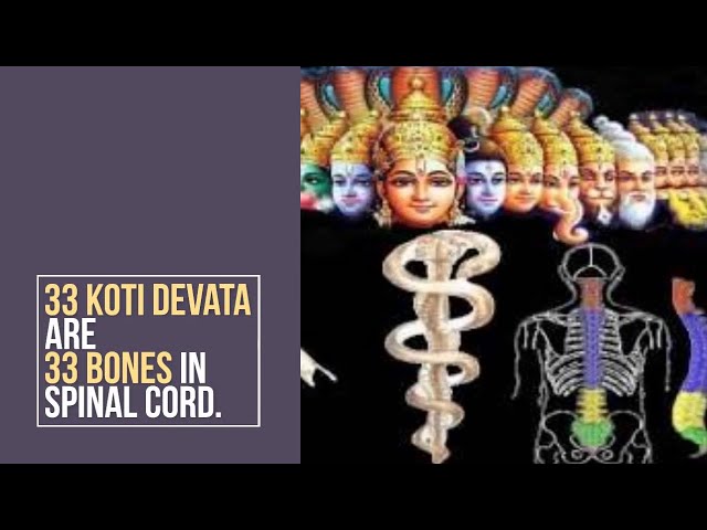 33 Koti Devata are 33 Bones in Spinal Cord (Vertebrae) #sanatandharma #ancientwisdom #hinduism