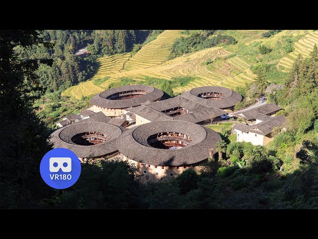 3D VR180 Timelapse | Traditional Fujian communal dwellings surrounded by golden rice fields