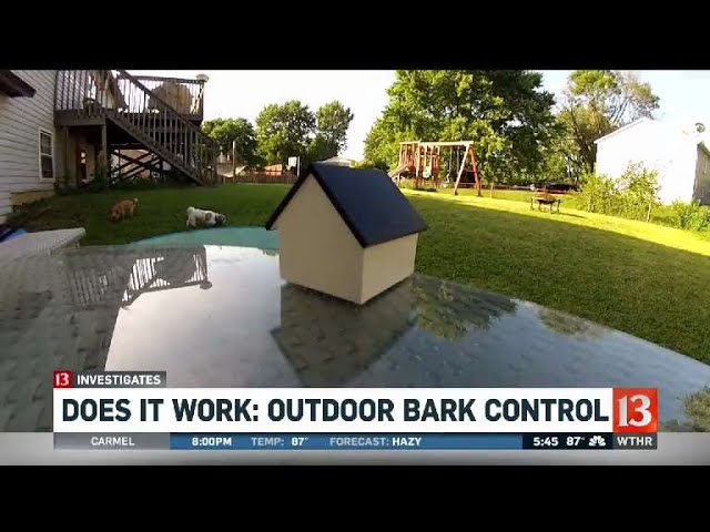 Bark Box…Does It Work?