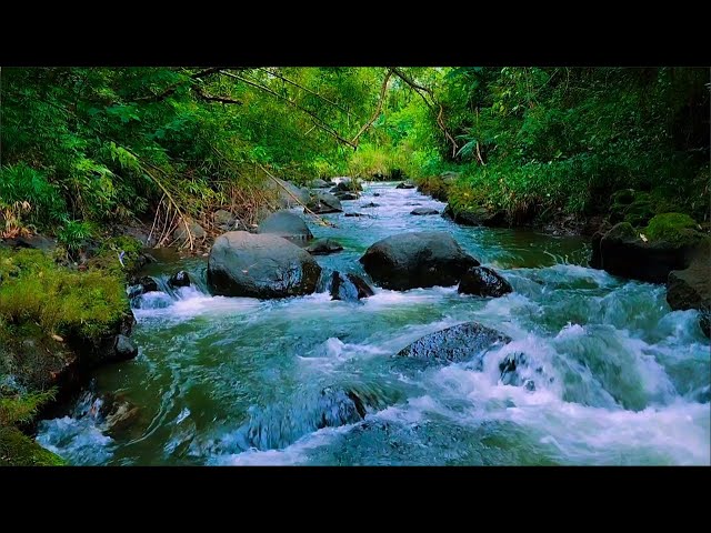 Gentle Mountain River Flow Sounds for Relieve Stress, Emotional Balance & Peaceful Sleep