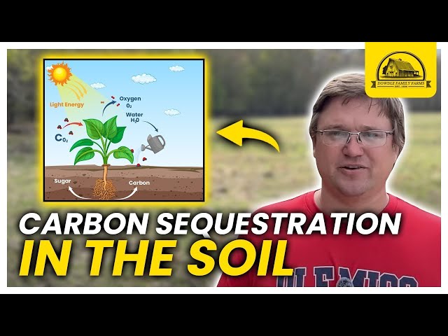 A Regenerative Farmer Talks Carbon Sequestration in Soil