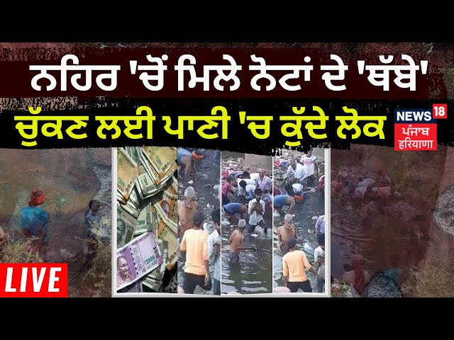 Bihar Viral News : ਨਹਿਰ 'ਚੋਂ ਮਿਲੇ ਨੋਟਾਂ ਦੇ 'ਥੱਬੇ', ਪੈਸੇ ਚੁੱਕਣ ਲਈ ਪਾਣੀ 'ਚ ਕੁੱਦੇ ਲੋਕ, | News18 Punjab