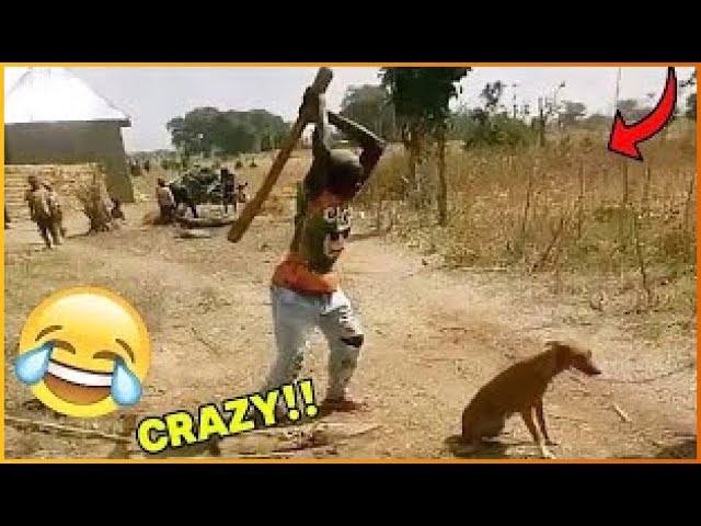 Crazy Funniest Videos Ever In The World | Try Not To Laugh Challenge | Laugh Till You Cry (Pt3)