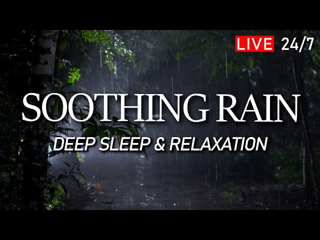 🔴 Soothing Rain Sounds for Sleeping - Nature Sounds to Help You Sleep Well. Relax, Meditation, Yoga