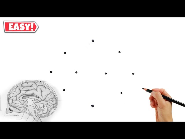 Dots की मदद से Human Brain Diagram drawing // Human Brain Diagram Class 10