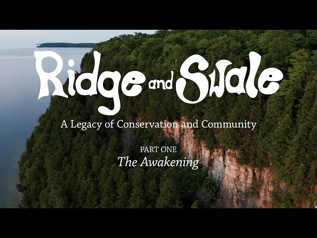 Ridge and Swale - Part 1: The Awakening