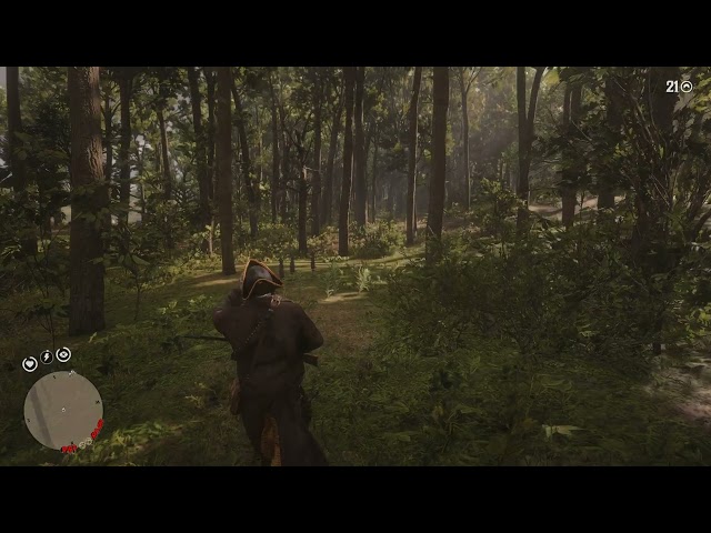 My Red Dead Redemption 2 GAMEPLAY Chapter 6 part 250