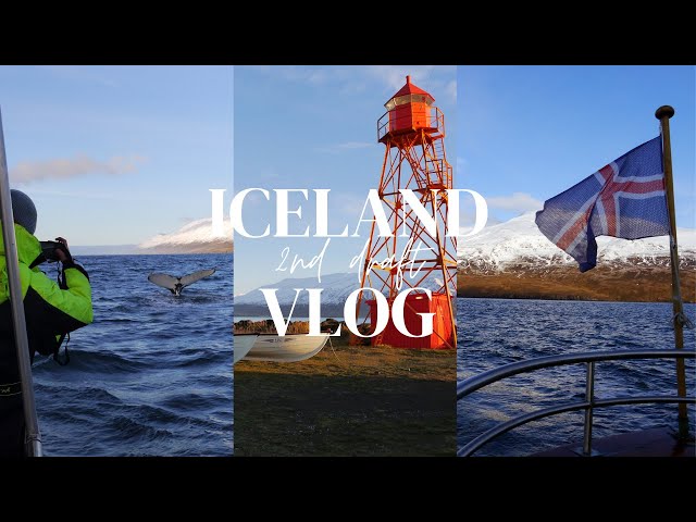 Solo roadtrip of an introvert to North Iceland & Whale Watching | silent travelog