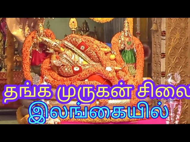 தங்க முருகன் சிலை #srilanka #temple #hindu #tamil #god #2024 #google #gold