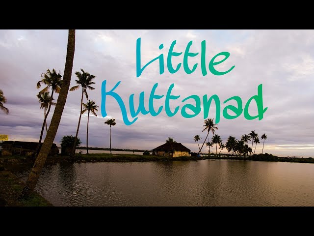 "Little Kuttanad" | AbilVlogs | Kochi |Vlog 6