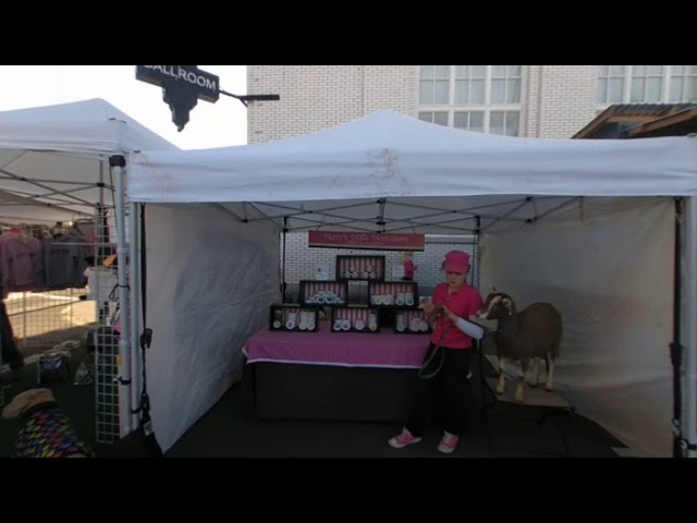 Mary's Milk Monsters At Astoria Sunday Market 2018 VR180