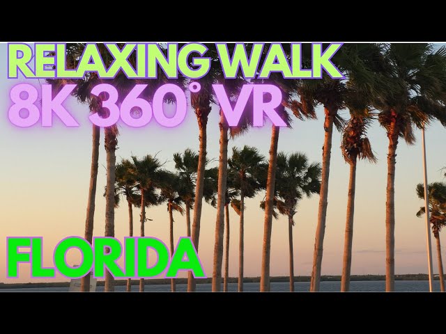 Relaxing Walk | 360°| VR | Tampa Florida 2024 | Season 1 EP 2