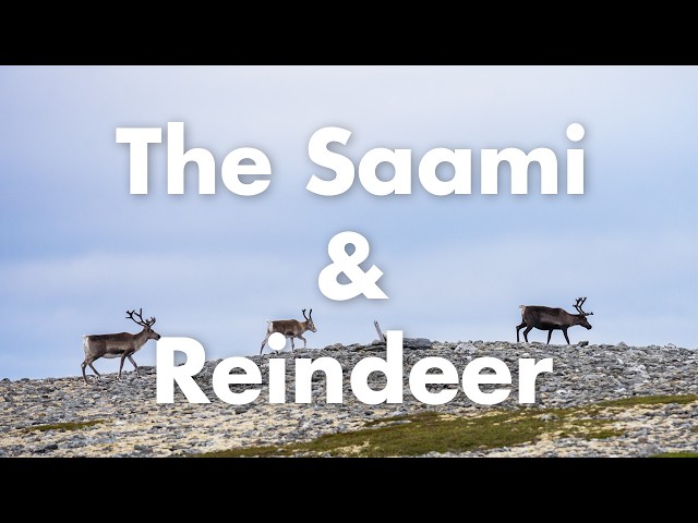 Meeting the Sámi reindeer herders in Lapland | Vanlife Norway