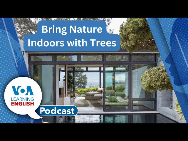 Trees in buildings, Avoiding viruses, Good news and Bad News