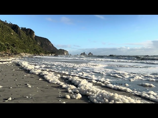 Motukiekie Beach Walk