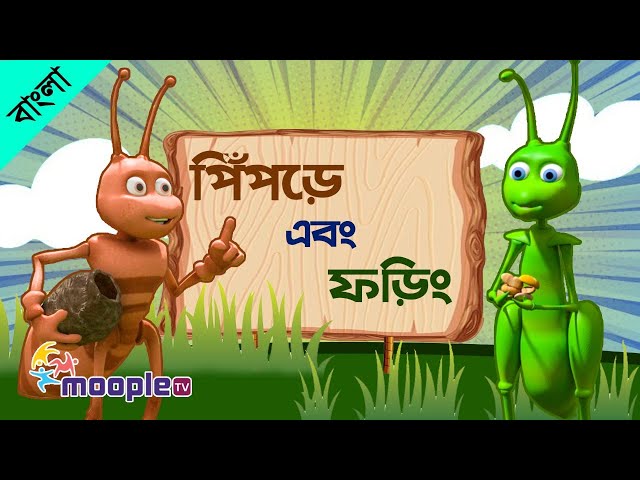 পিঁপড়ে ও গঙ্গাফড়িং-Ant and Grasshopper |Bangla Moral Stories |Panchatantrer Golpo | Moople TV Bangla