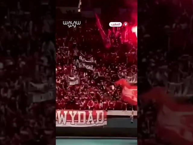 "الوينرز" يخلق أجواء حماسية في مباراة الوداد الرياضي في دوري كرة السلة  #اكسبلور #maroc