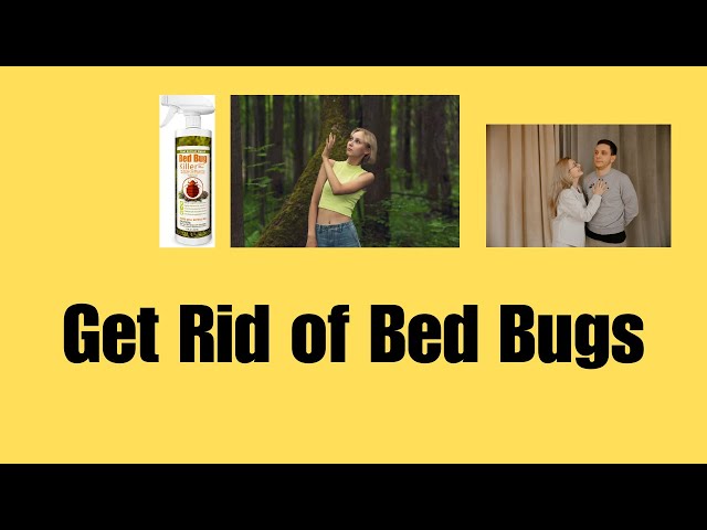 How to Get Rid of Bed Bugs with EcoVenger Bed Bug Killer | 100% Effective, Safe for Kids & Pets!