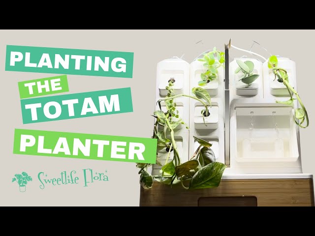 Totem Planter Setup & Houseplant Propagation | Indoor Gardening Tips