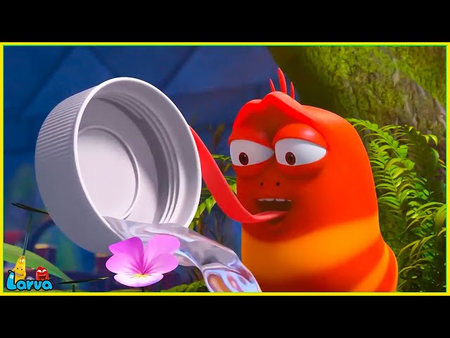 Larva Compilation 2025 : water the flowers | Best Cartoons 2025 | Hilarious Cartoon Compilation