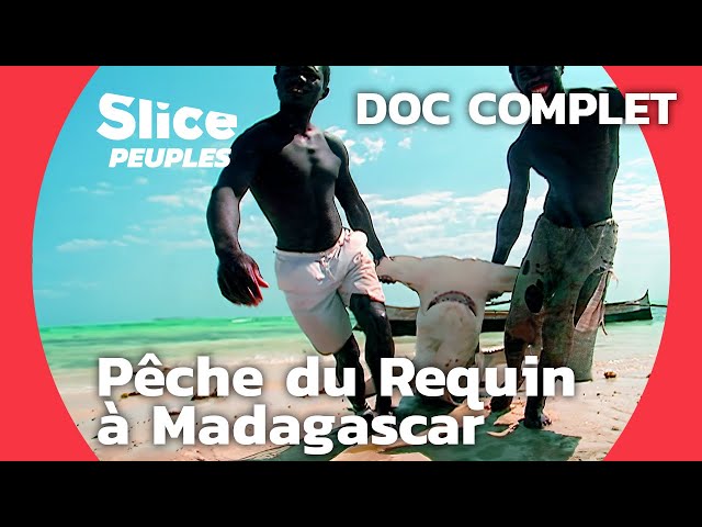 La pêche du requin à Madagascar | SLICE | Documentaire complet