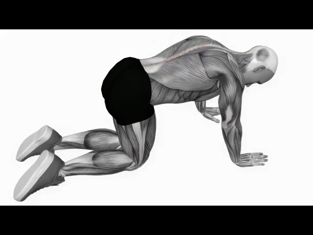 "GLUTE WORKOUT AT HOME | The Best Exercises for Men & Women"