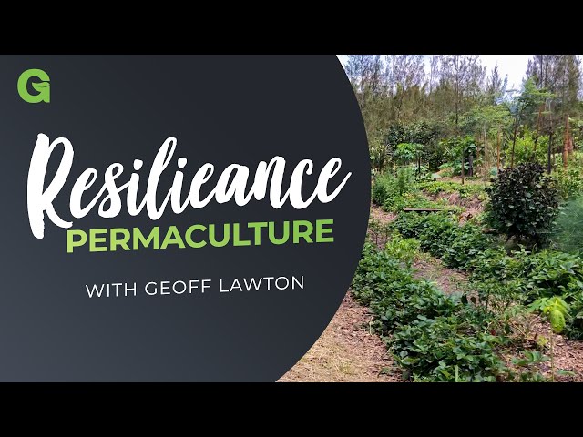 Permaculture's Resilience