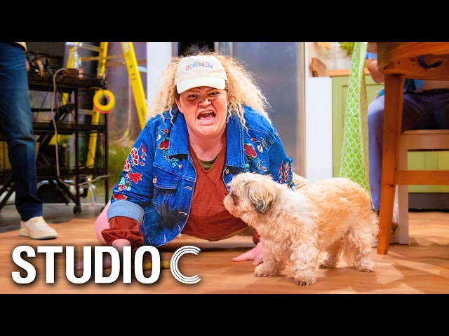 Begging Dog Trainer - Studio C