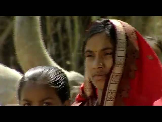 Adivasi Wedding Dance of Gamit Tribe-  MH