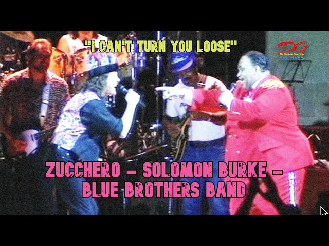 SOLOMON BURKE - ZUCCHERO  - BLUE BROTHERS BAND I can't turn you loose (LIVE) 1989