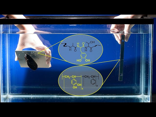 New Underwater Adhesive Licensed by Chemistry Startup