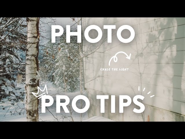 Take Better Photos INSTANTLY with 3 TIPS!