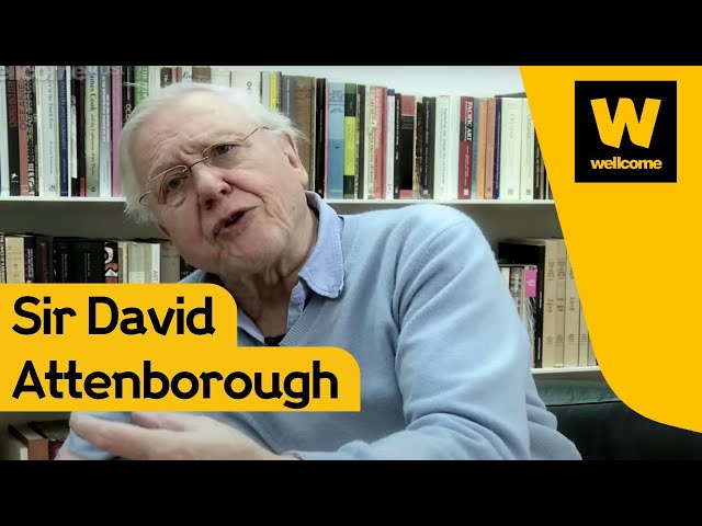 The challenge of population growth with Sir David Attenborough | Wellcome