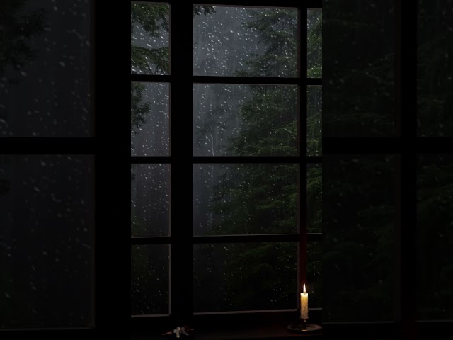 Cozy Foggy Forest Rain Ambience 🌧️ Distant Thunder Sounds for Sleeping, Focus, Study and Relaxation