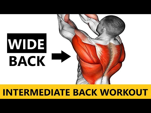 INTERMEDIATE BACK WORKOUT  MUSCLE BUILDING WORKOUT