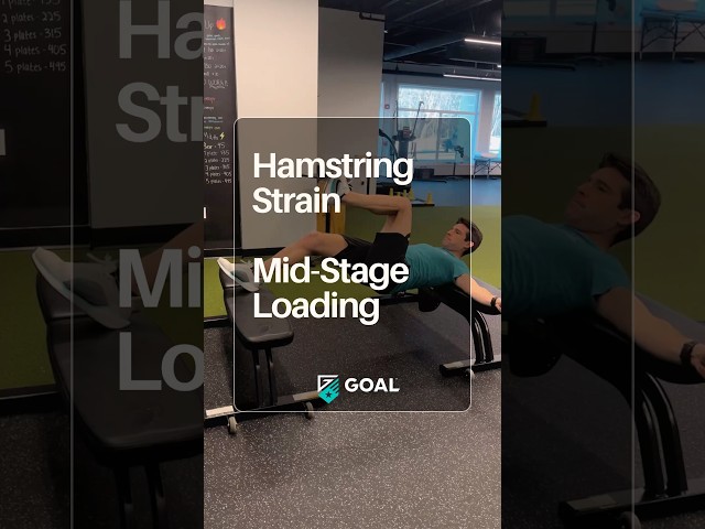 Mid-Stage Hamstring Rehab #hamstrings #hamstringexercises #sportsinjury #physiotherapy #sports