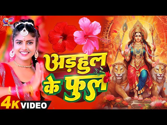 LIVE : न्यू भक्ति नानस्टॉप गाने | पारम्परिक देवी गीत 2024 | Bhakti Gana 2025 | Navratri Song 2025