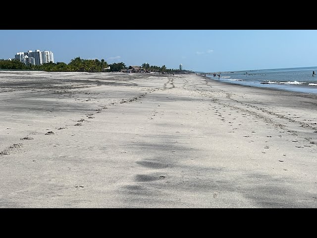 3-Hour Beach Walk & Easy Knife Sharpening Hack