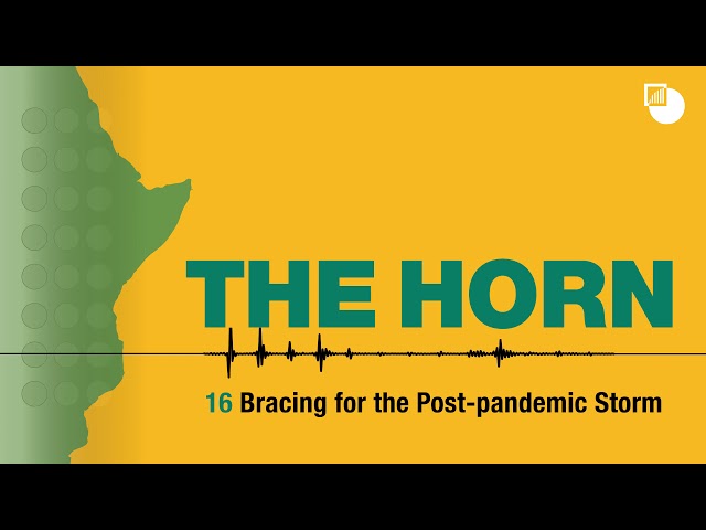 16. The Horn Podcast: Bracing for the Post-pandemic Storm