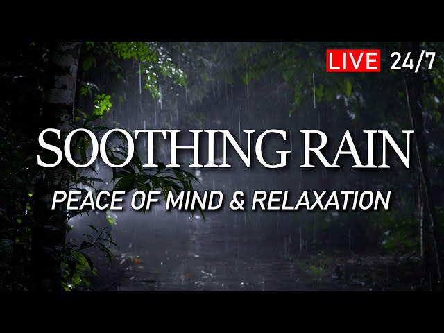 🔴 Soothing Rain Sounds for Sleeping - Rain ASMR to Help You Sleep Well. Peace of Mind, Relax, Focus