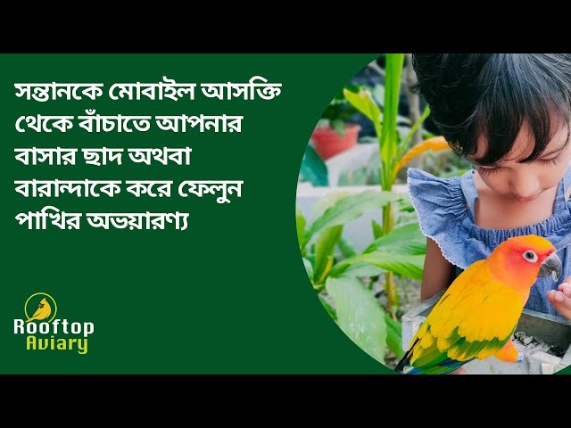 ছাদ বাগানে পাখির অভয়ারণ্য | Rooftop Aviary by Shahid Chowdhury