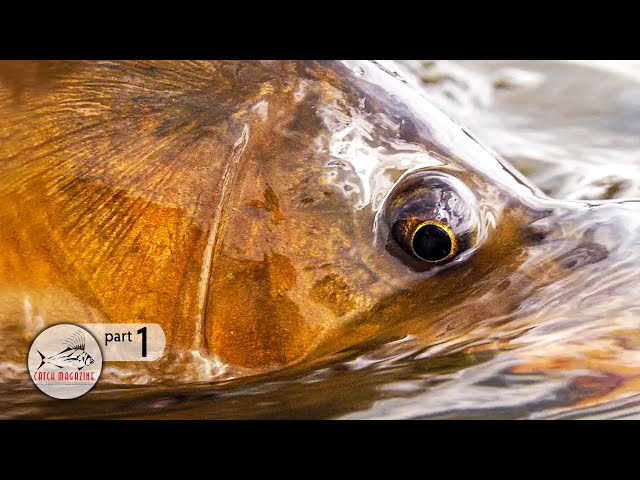 Montana Dry Fly Fishing for Carp  -  Carp Fishing on the Missouri River by Todd Moen Part 1