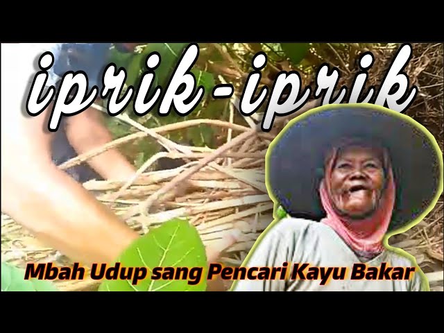 IPRIK-IPRIK - Mbah Udup Pencari Kayu Bakar Lembah Gemarang