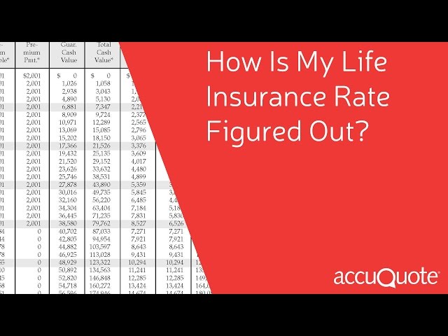 How is My Life Insurance Rate Figured Out?