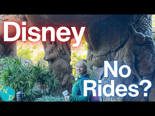 Can You Have Fun at Disney World WITHOUT Going on Rides?