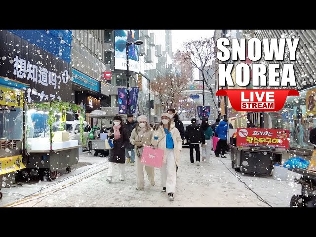 Live Korea Seoul  🇰🇷 Walk Tour Seoul 🎄 Exciting Korea Night Street Walking | Snow Myeongdong Street