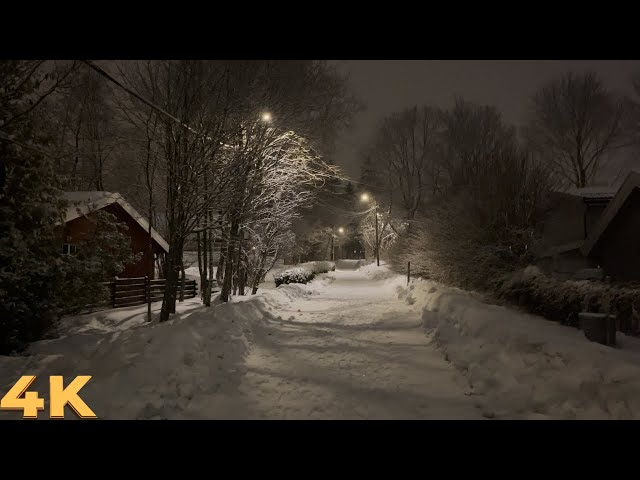 Night Walk in Snow & Rain | Relaxing Nature Sounds | 4K Norway