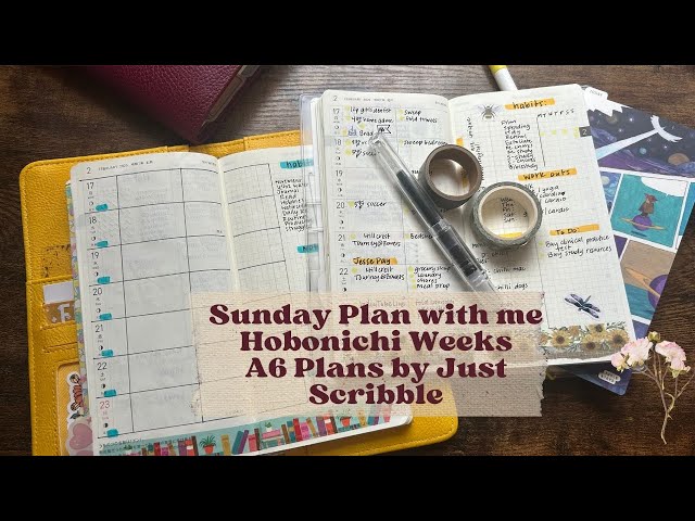 Plan with Me | Week of February 17-23, 2025 | Hobonichi Weeks | A6 Plans by Just Scribble